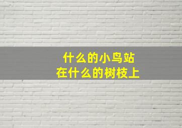 什么的小鸟站在什么的树枝上