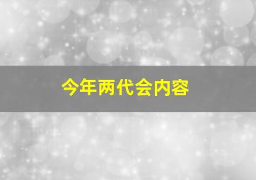 今年两代会内容