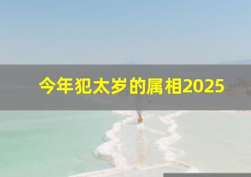 今年犯太岁的属相2025