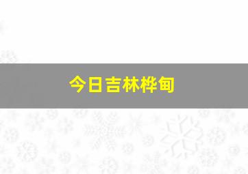 今日吉林桦甸