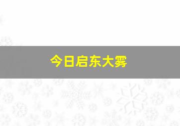 今日启东大雾