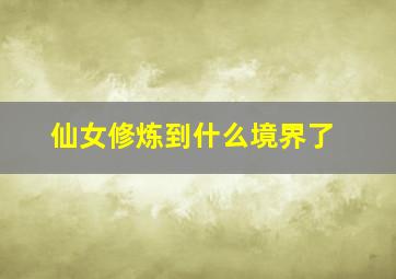 仙女修炼到什么境界了