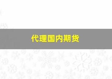 代理国内期货