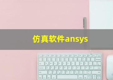 仿真软件ansys