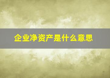 企业净资产是什么意思