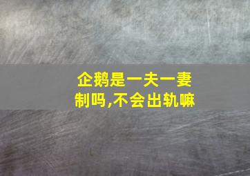 企鹅是一夫一妻制吗,不会出轨嘛