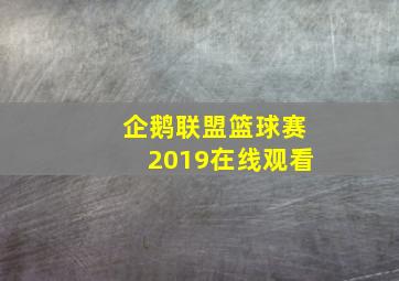 企鹅联盟篮球赛2019在线观看