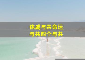 休戚与共命运与共四个与共