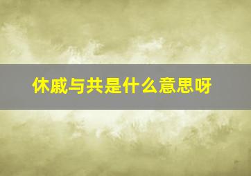 休戚与共是什么意思呀