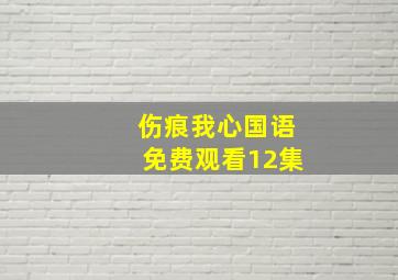 伤痕我心国语免费观看12集