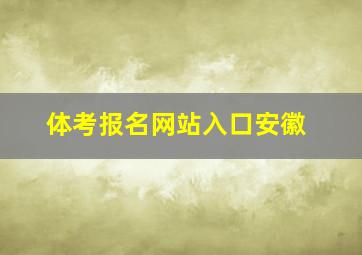 体考报名网站入口安徽