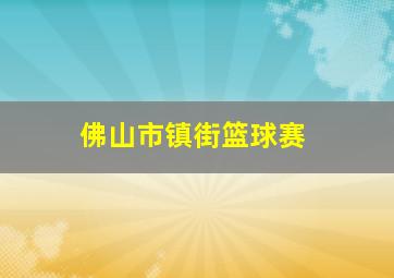 佛山市镇街篮球赛