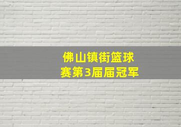 佛山镇街篮球赛第3届届冠军