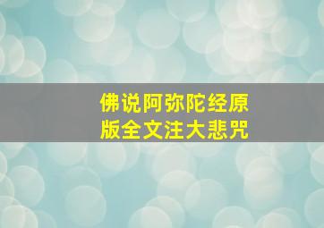 佛说阿弥陀经原版全文注大悲咒