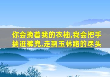 你会挽着我的衣袖,我会把手揣进裤兜,走到玉林路的尽头