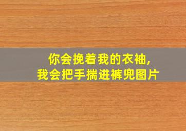 你会挽着我的衣袖,我会把手揣进裤兜图片