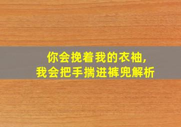 你会挽着我的衣袖,我会把手揣进裤兜解析