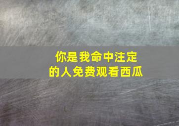 你是我命中注定的人免费观看西瓜