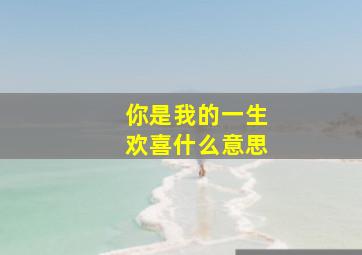 你是我的一生欢喜什么意思