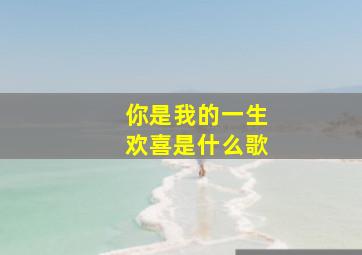 你是我的一生欢喜是什么歌