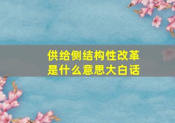 供给侧结构性改革是什么意思大白话