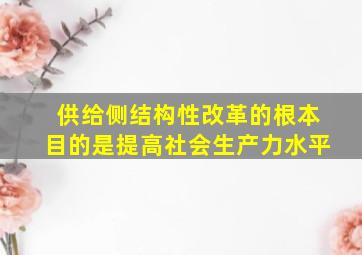 供给侧结构性改革的根本目的是提高社会生产力水平