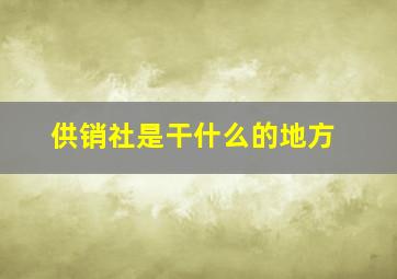 供销社是干什么的地方