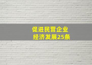 促进民营企业经济发展25条