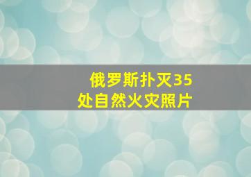 俄罗斯扑灭35处自然火灾照片