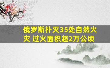 俄罗斯扑灭35处自然火灾 过火面积超2万公顷