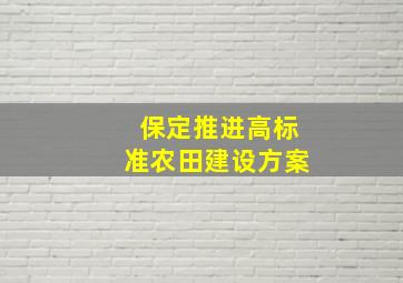 保定推进高标准农田建设方案