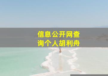 信息公开网查询个人胡利舟