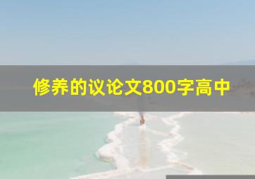 修养的议论文800字高中