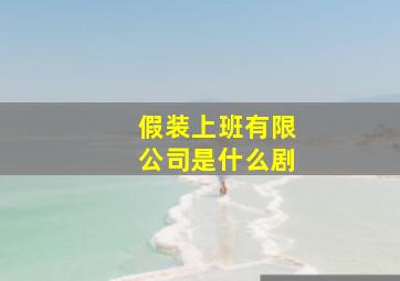 假装上班有限公司是什么剧