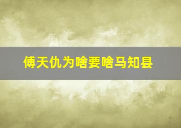 傅天仇为啥要啥马知县