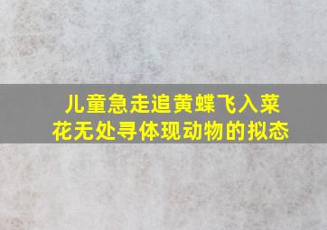 儿童急走追黄蝶飞入菜花无处寻体现动物的拟态