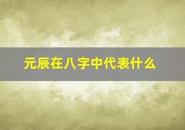 元辰在八字中代表什么