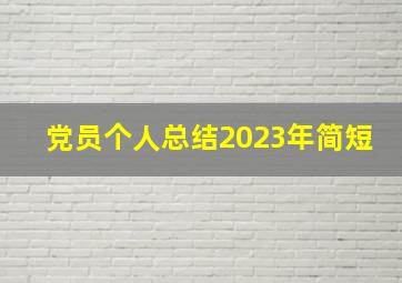 党员个人总结2023年简短