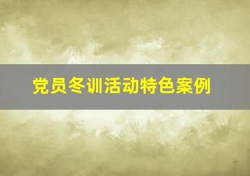 党员冬训活动特色案例