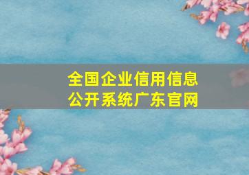 全国企业信用信息公开系统广东官网