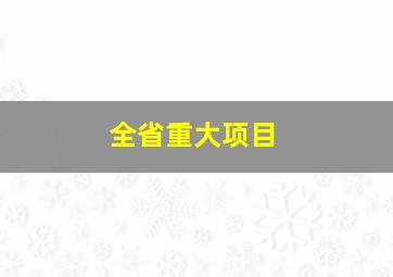 全省重大项目