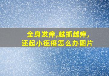 全身发痒,越抓越痒,还起小疙瘩怎么办图片