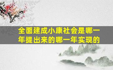 全面建成小康社会是哪一年提出来的哪一年实现的