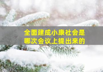 全面建成小康社会是哪次会议上提出来的