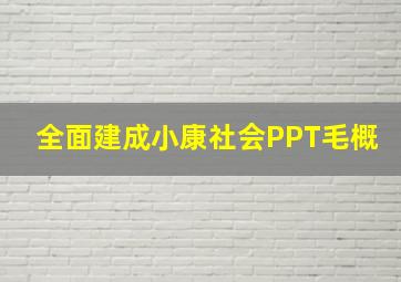 全面建成小康社会PPT毛概