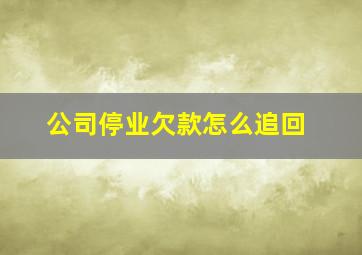 公司停业欠款怎么追回