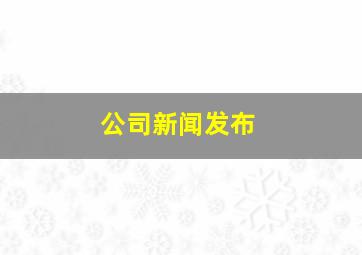 公司新闻发布