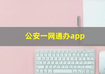 公安一网通办app