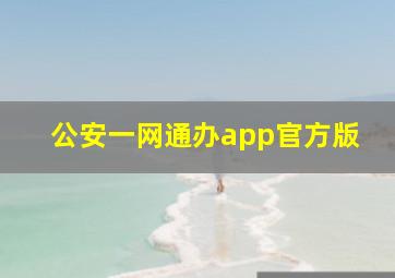 公安一网通办app官方版