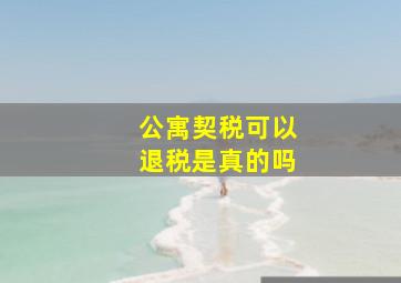 公寓契税可以退税是真的吗